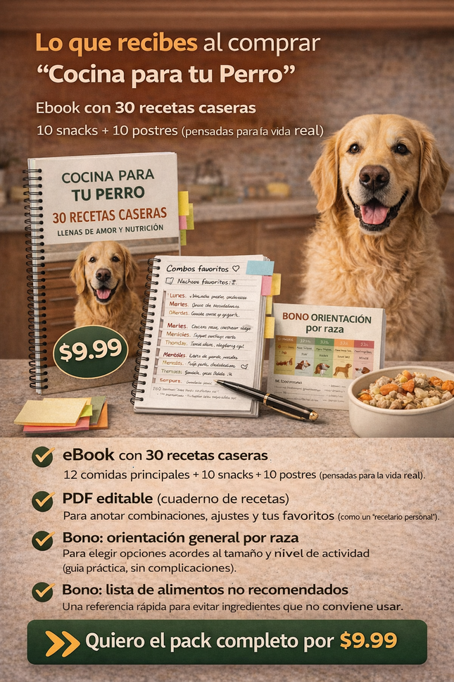 30 recetas caseras simples para tu perro